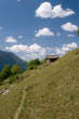 20110508_121000 Somasaccia.jpg